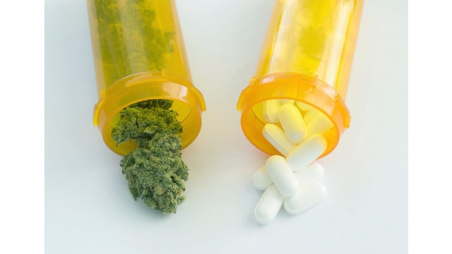 Medical marijuana and opioid use